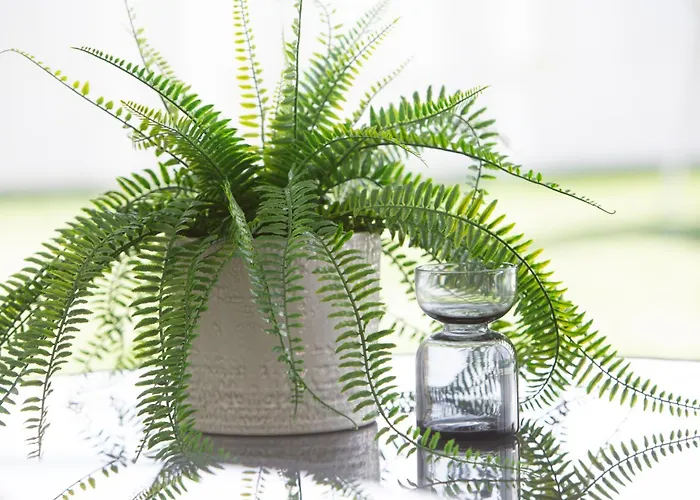 Premier Palaca - Ground Floor Only, Walk To Reserve & Town *